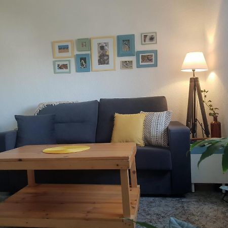 Bonito Y Coqueto Apartamento Córdoba Buitenkant foto
