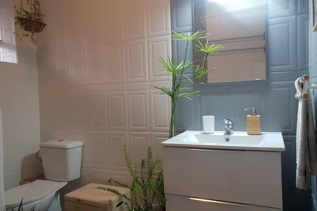 Bonito Y Coqueto Apartamento Córdoba Buitenkant foto